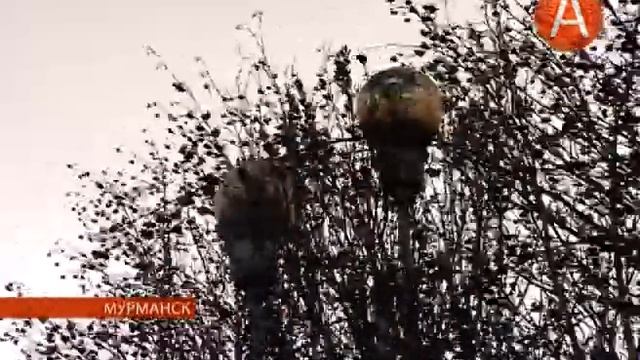 Над Кольским полуостровом разгулялся активный антициклон смотреть онлайн