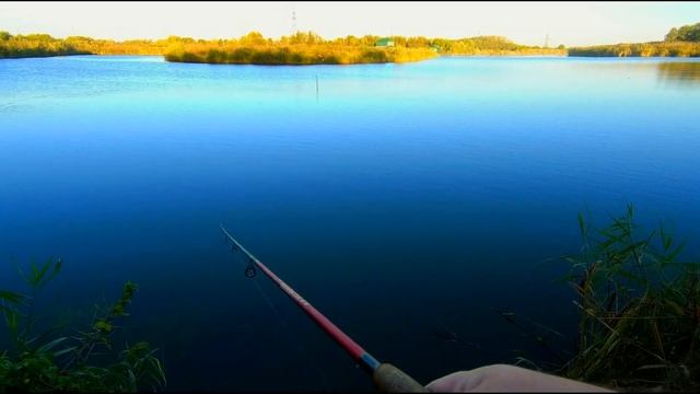 Рыбалка на щуку в Краснодарском крае. Открыл сезон уловом. Пойман самый маленький ТРОФЕЙ