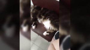 Когда у тебя мейнкун.  Ожидание-реальность?