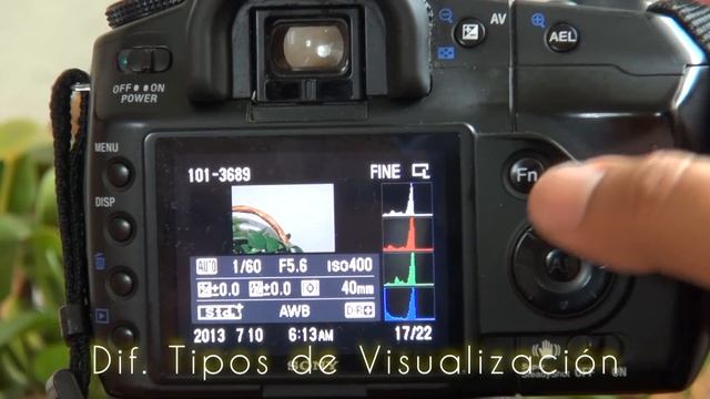 Sony Alpha 200 смотреть онлайн