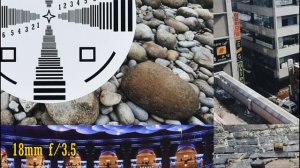 Nikon AF-S DX 18-105mm f/3.5-5.6 G ED VR lens review with samples