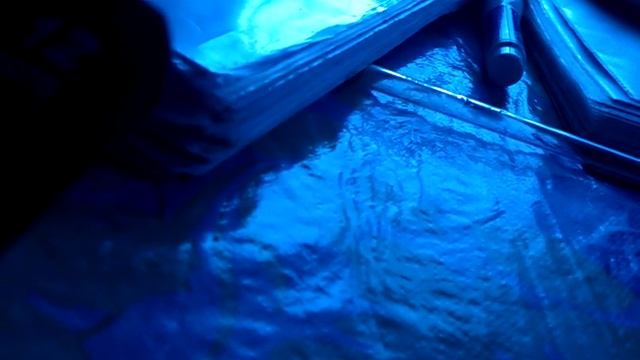 Разведение карпа. Карагандинский рыбопитомник. Развитие и вылупление личинки карпа смотреть онлайн