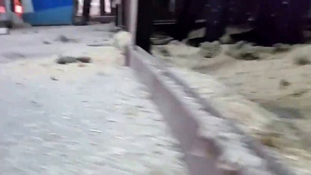 Медведице Мане 3 года