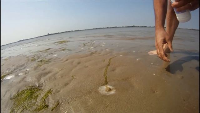 Ловля необычной рыбы. Без удочки смотреть онлайн