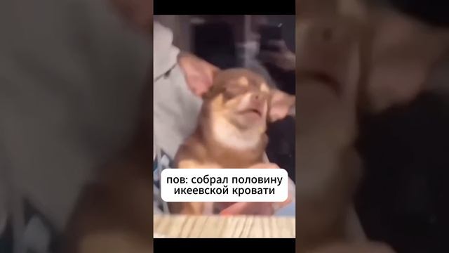 🫣😪 «Конструктор» для взрослых