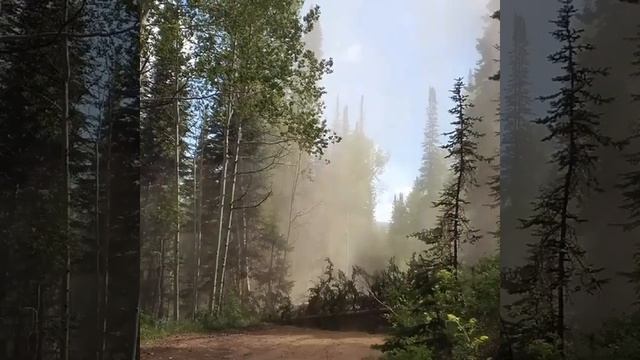 12 Bravo training-Combat Engineer смотреть онлайн