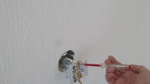 Электромонтаж Перенос розеток на кухне. Странности с проводкой Нашли бульбик на объекте.