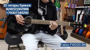 Fabio FW220 BK / купить гитару в Брянске. Музыкальный магазин
