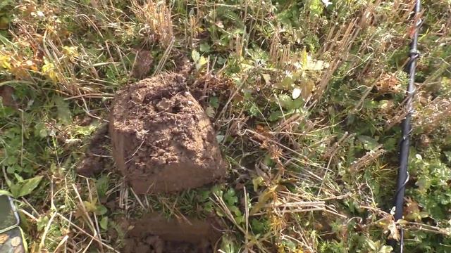 Девять "СЕРЕБРЯНЫХ" царских рублей или классический цыганский "развод". смотреть онлайн