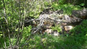 Отдых в поселке Репино