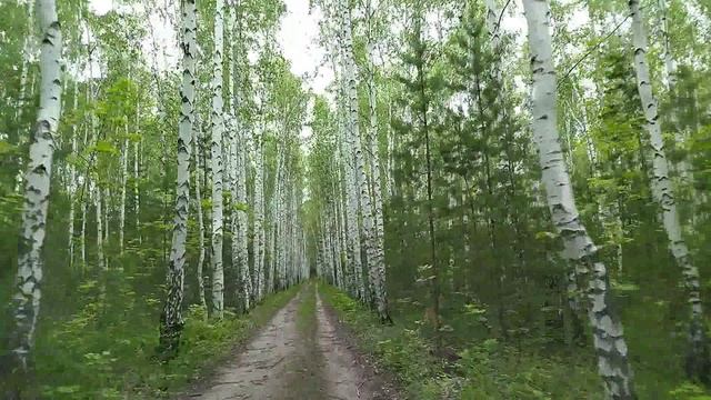 Национальный парк Хвалынский. Июль