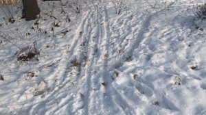 Баран стал мужчиной! За что мы любим деревню! Создали хутор в деревне! Купили дом в деревне.