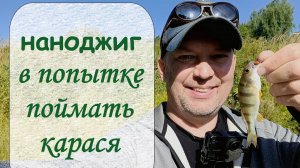 Наноджиг. В попытке поймать карася