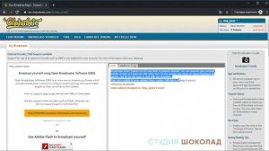 навигация и настройка по веб сайту Chaturbate часть 2