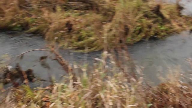 Илеть. Оцените скорость течения смотреть онлайн