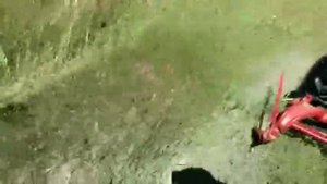 Мототрактор + конная косилка в работе.