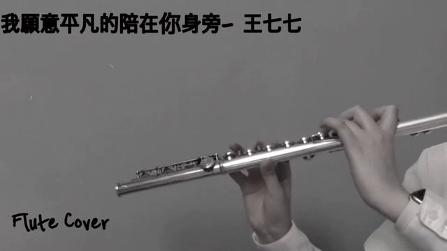 我願意平凡的陪在你身旁 (I Am Willing To Be By Yourside)-王七七 (Wang QiQi)평범하게 네 곁에 있고 싶어- 왕치치 플룻 커버 Flute Cover смотреть онлайн