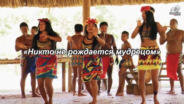 Африканские пословицы и поговорки, цитаты и мудрые мысли, которые помогают им Выжить