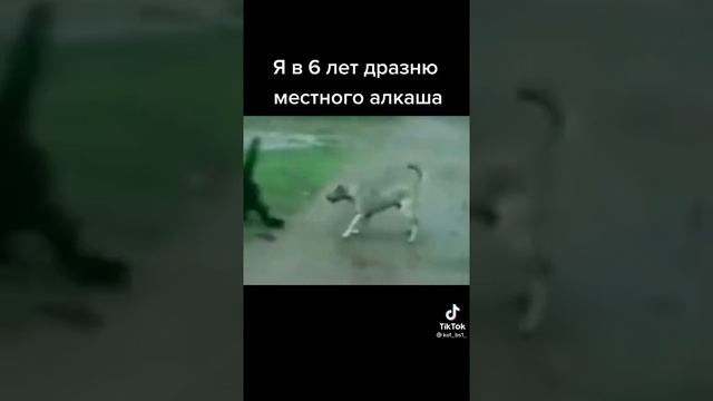 Прикол , собака откусила обезьяне яйца