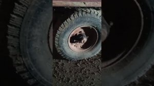 Прицеп 1 ПТС 2 экспресс-обзор от Виталия Белоглазова