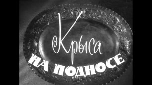 Крыса на подносе    комедия 1963 СССР