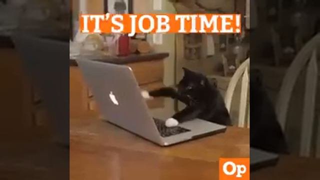 когда заработался