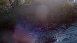 Сплав по реке Кострома.