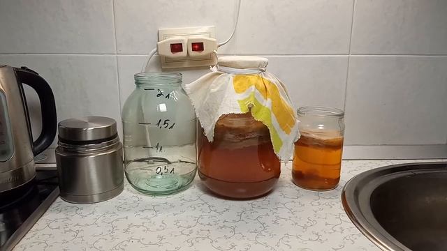 Чайный гриб, комбуча, kombucha, SCOBY, кратко что знаю смотреть онлайн