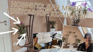 ?? Новое пополнение в нашей комнате с цветами! ?? Просто Мария