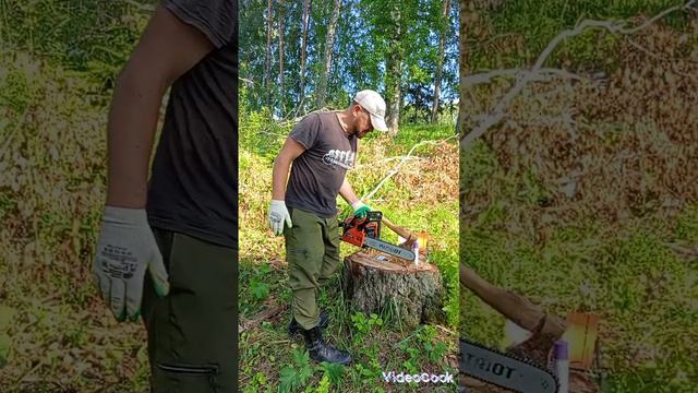 лесоповал