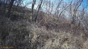 Удачная Охота Краснодарский край 02.01.2023 Заяц фазан