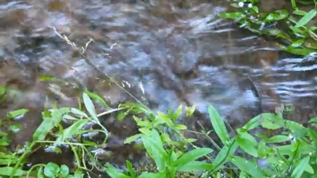 Татьяна Смертина - Тень огня - стихи - видео