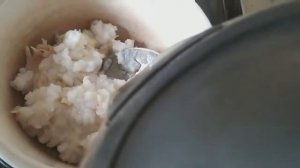 Каша с курицей для кошек и котят