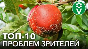 ЭТО НЕ МОЖЕТ ЖДАТЬ! Обработайте сад и огород осенью от болезней и вредителей
