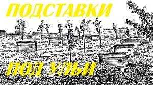 Подставки под ульи. Разные варианты установки