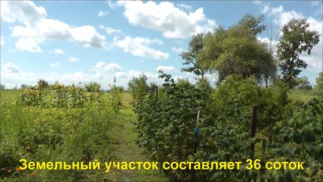 дом в с.черемхово