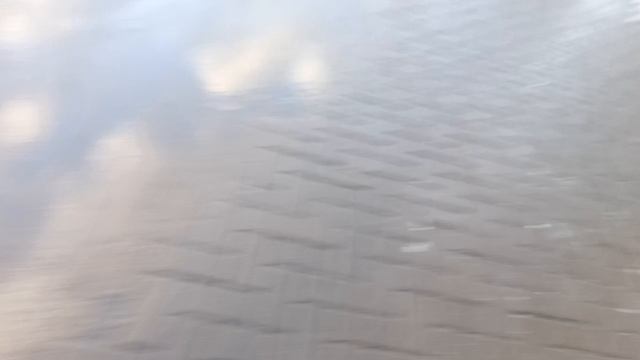 Видеоблог по школе