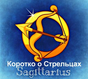 Коротко о Стрельце.mp4