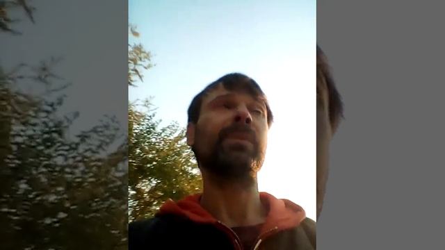 Здоров Богат Дуб Стоит Орехи Звенят ?? масло Ореха для Счастья человека ? энергия Природы и Любви ? смотреть онлайн