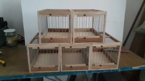 Отсадники для манной птицы.