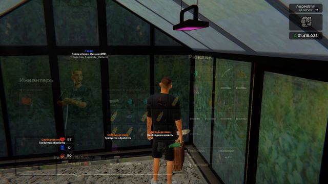 СКОЛЬКО МОЖНО ЗАРАБОТАТЬ С ОГОРОДА ПОСЛЕ ОБНОВЛЕНИЯ НА RADMIR CRMP/HASSLE ONLINE? смотреть онлайн