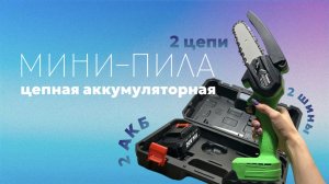 СБОРКА / Пила аккумуляторная цепная мини садовая 2 АКБ + 2 шины + 2 цепи TAIGA