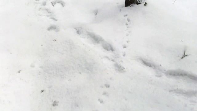 Мотобуксировщик Ураган, зимняя рыбалка на окуня и щуку (с приключениями) смотреть онлайн