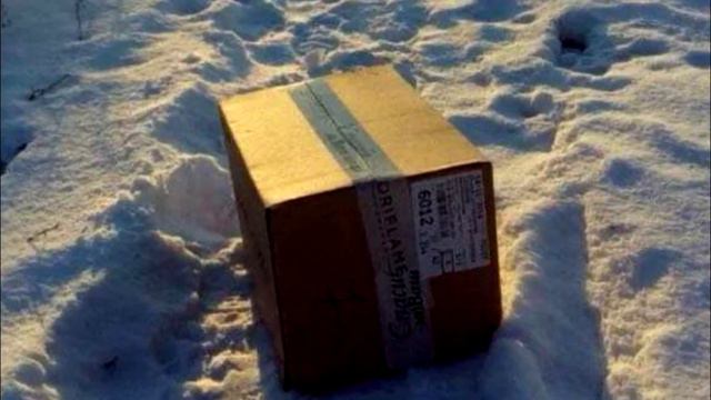 Кошка просила о помощи, в коробке ЗАМЕРЗАЛИ ее малыши смотреть онлайн