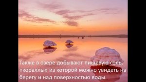 УДИВИТЕЛЬНОЕ РЯДОМ! ВЫПУСК 2