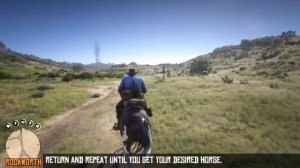 RDR2 - Piebald Tobiano : Brave & Battle Tested | Easiest Method, Hassle-Free Hungarian Halfbred