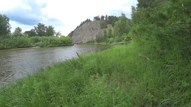 Летом на Собачем Камне смотреть онлайн