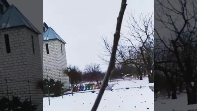 Обрезка грецкого ореха.Формирование грецкого ореха.