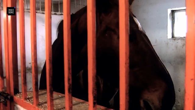 Василий Ломаченко - Переписать историю бокса смотреть онлайн