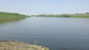 Г.Лагань